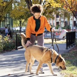 a woman walking her dog outdoors