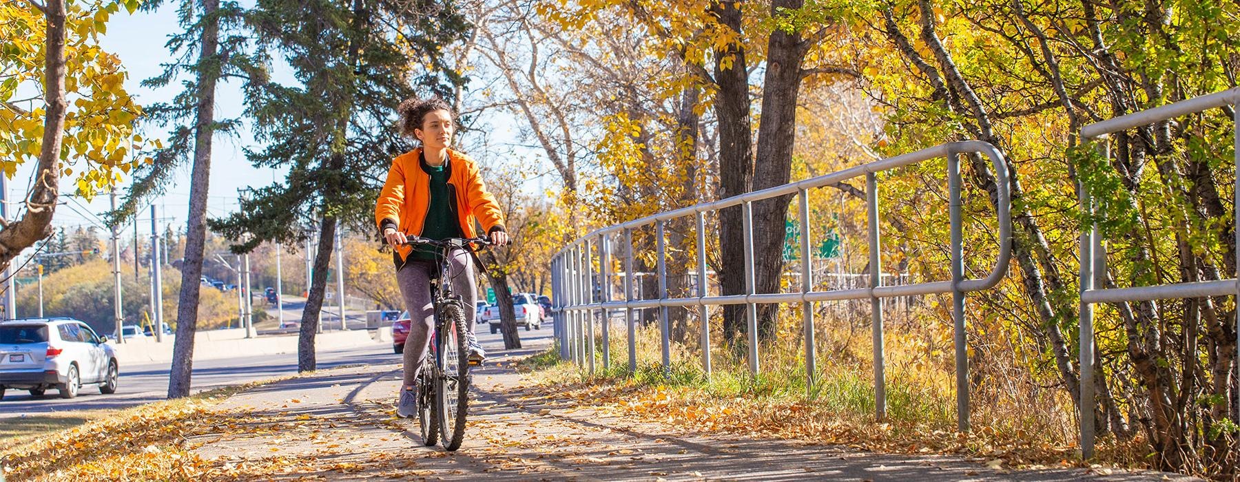 a person riding a bicycle on a road with trees on either side