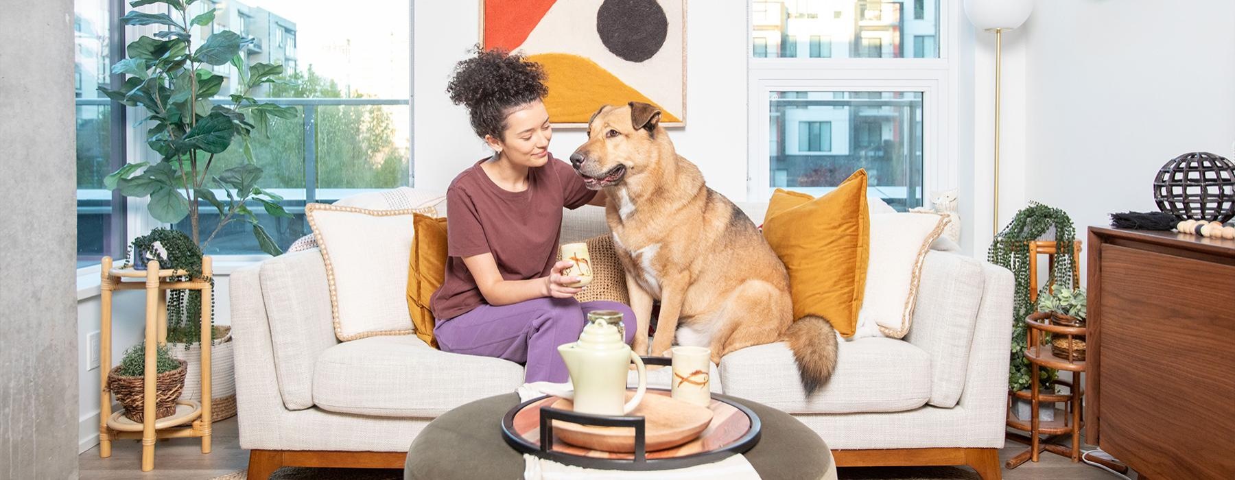 a person sitting on a couch with a dog