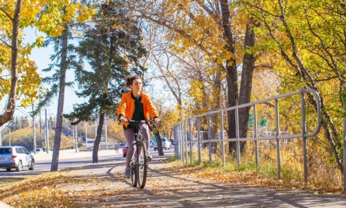 a person riding a bicycle on a road with trees on either side