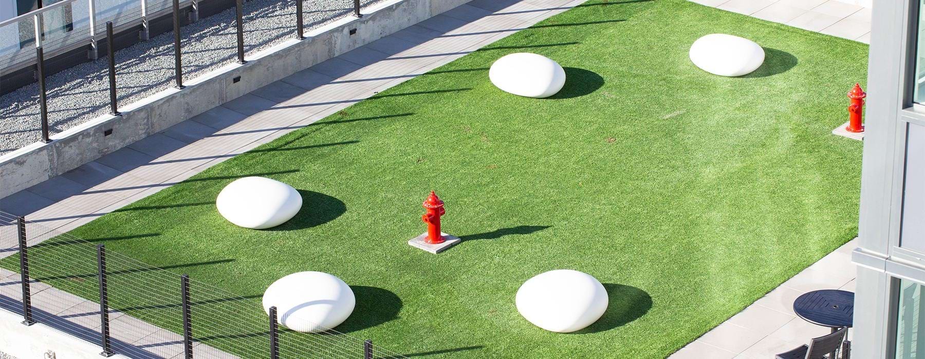 a fire hydrant on a grass field