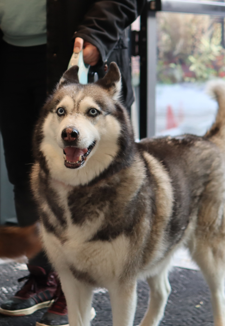 Bridge_Web_Blog-Post-Xmas_Assets_Image-03