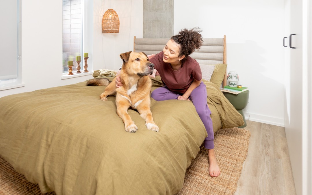 Safe & Happy Pets in apartment-living